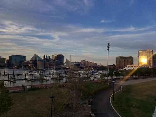 Top 10 Things to do in Baltimore