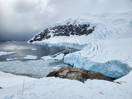 5 Reasons to Not Go to Antarctica